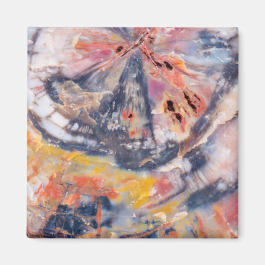 Aimant Détail de bois pétrifié, Arizona (Devant)