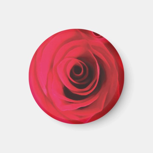 Aimant Détail de fleur de rose rouge (Devant)