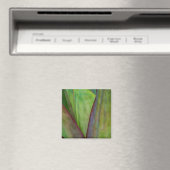 Aimant Détail de la plante d'agave (In Situ (Lave-vaisselle))
