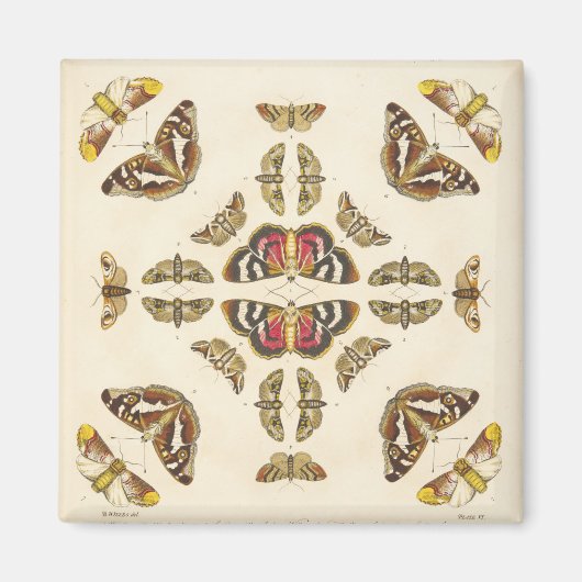 Aimant Détail de la plaque VI (Devant)