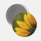 Aimant Détail de Tournesol (Recto/Verso)