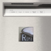 Aimant détail d'une plaque d'immatriculation rom sur un p (In Situ (Lave-vaisselle))