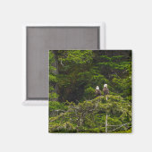 Aimant Deux aigles perchés peinturlurés (Recto/Verso)