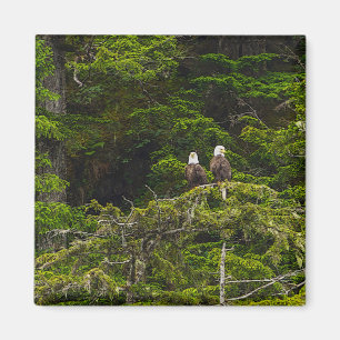 Aimant Deux aigles perchés peinturlurés