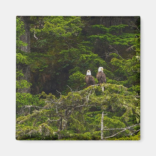 Aimant Deux aigles perchés peinturlurés (Devant)