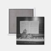 Aimant Deux chatons assis sur le clavier du piano par feu (Recto/Verso)