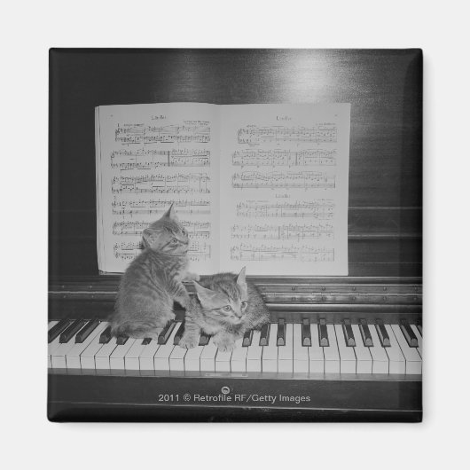 Aimant Deux chatons assis sur le clavier du piano par feu (Devant)