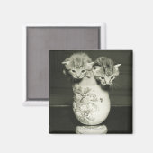 Aimant Deux chatons cachés dans le vase, (B&W) (Recto/Verso)