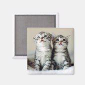 Aimant Deux chatons mignons (Recto/Verso)