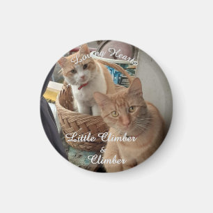Aimant Deux Chats, Photo Remplaçable Et Noms,
