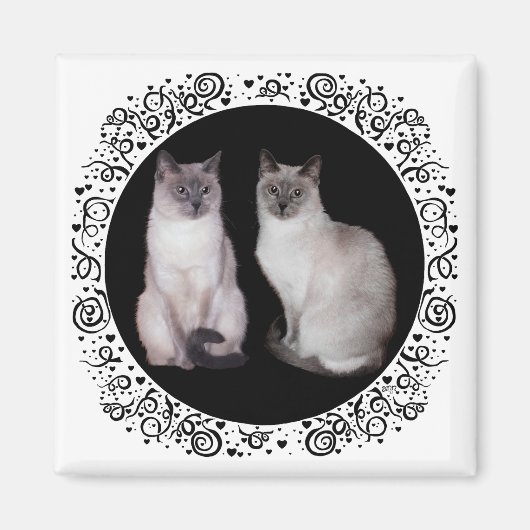 Aimant Deux chats siamois (Devant)