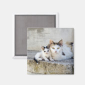 Aimant Deux chats sur pas de pierre (Recto/Verso)