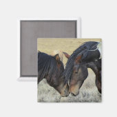 Aimant Deux Chevaux Brown Sauvages Étonnants (Recto/Verso)
