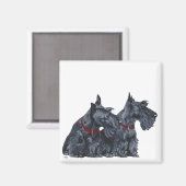 Aimant Deux Curieux Terriers écossais (Recto/Verso)