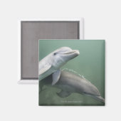 Aimant Deux dauphins sous l'eau (Recto/Verso)