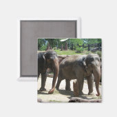 Aimant Deux éléphants (Recto/Verso)