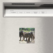 Aimant Deux éléphants (In Situ (Lave-vaisselle))