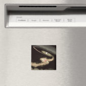 Aimant Deux Exoplanètes Géantes De Gaz Orbitant Une Jeune (In Situ (Lave-vaisselle))