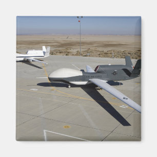 Aimant Deux faucons globaux garés sur une rampe