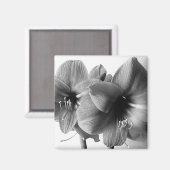 Aimant Deux fleurs d'Amaryllis Photo (Recto/Verso)
