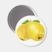 Aimant Deux fruits de coing (Recto/Verso)