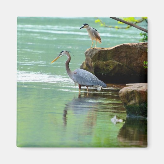 Aimant Deux hérons au bord de la rivière (Devant)