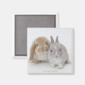 Aimant Deux lapins Netherland Dwarf et Holland Lop (Recto/Verso)