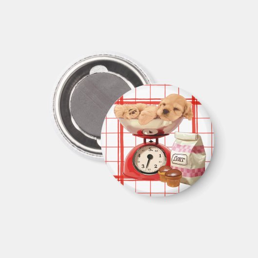 Aimant Deux livres de mignonne (Recto/Verso)