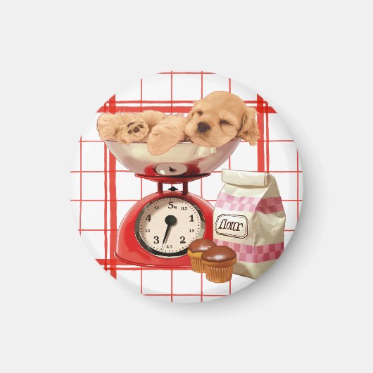 Aimant Deux livres de mignonne (Devant)