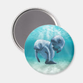 Aimant Deux Manatees (Recto/Verso)