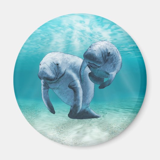 Aimant Deux Manatees (Devant)