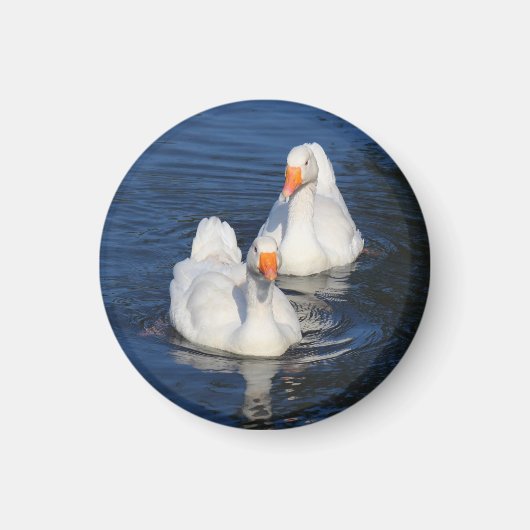 Aimant Deux oies d'Emden II (Devant)