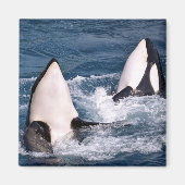 Aimant Deux orques (Devant)