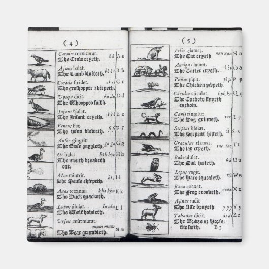 Aimant Deux pages de 'Orbis Sensualium Pictus' (Devant)