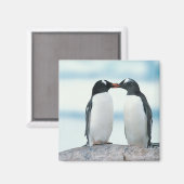 Aimant Deux pingouins touchant des becs (Recto/Verso)