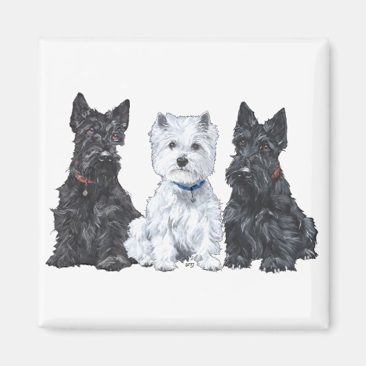 Aimant Deux Scotties et un Westie (Devant)
