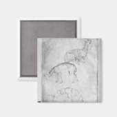 Aimant Deux tortues, chèvre et mouton (Recto/Verso)