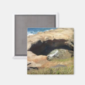 Aimant Devil's Punchbowl, Côte de l'Oregon (Recto/Verso)