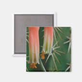 Aimant Dew sur Aloe Bloom (Recto/Verso)