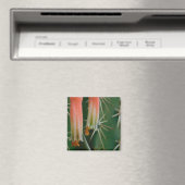 Aimant Dew sur Aloe Bloom (In Situ (Lave-vaisselle))