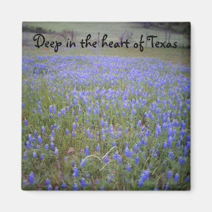 Aimant d'expression de champ de Bluebonnet