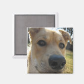 Aimant Dexter Week-end (Recto/Verso)