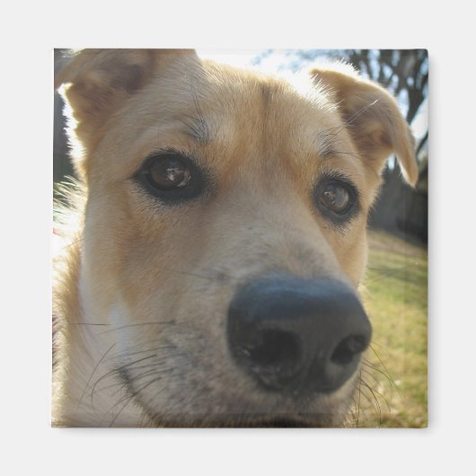 Aimant Dexter Week-end (Devant)