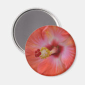 Aimant d'Hibiscus orange (Recto/Verso)