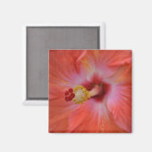 Aimant d'Hibiscus orange (Recto/Verso)