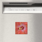 Aimant d'Hibiscus orange (In Situ (Lave-vaisselle))