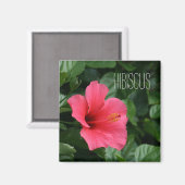 Aimant d'Hibiscus rose (Recto/Verso)