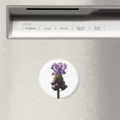 Aimant d'Hyacinthe de raisin (In Situ (Lave-vaisselle))