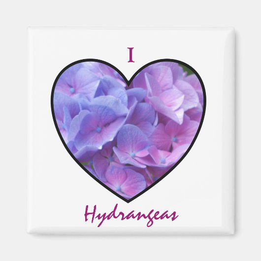 Aimant d'Hydrangée (Devant)