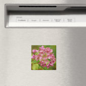 Aimant d'Hydrangée rose (In Situ (Lave-vaisselle))